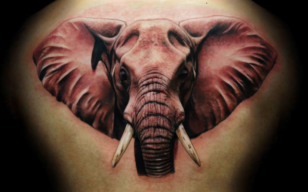 elephant tattoo ideas cover