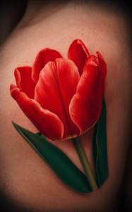 Tulip tattoo meaning- Tulip tattoo small - Tulip tattoos for females - Tulip tattoo male - Tulip tattoo Designs - Tulip tattoo black and white